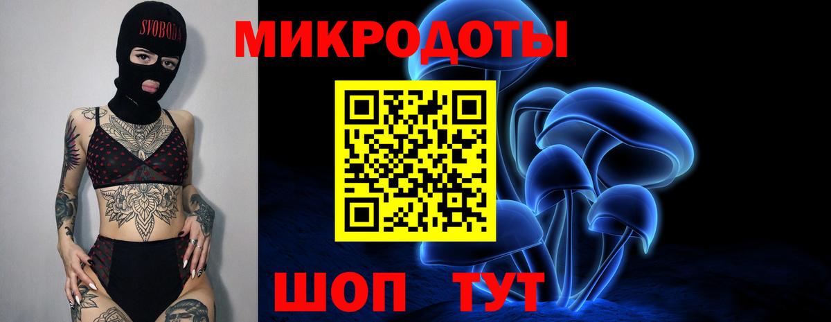 Комсомольск-на-Амуре  Псилоцибиновые грибы Psilocybe  Вход с VPN 